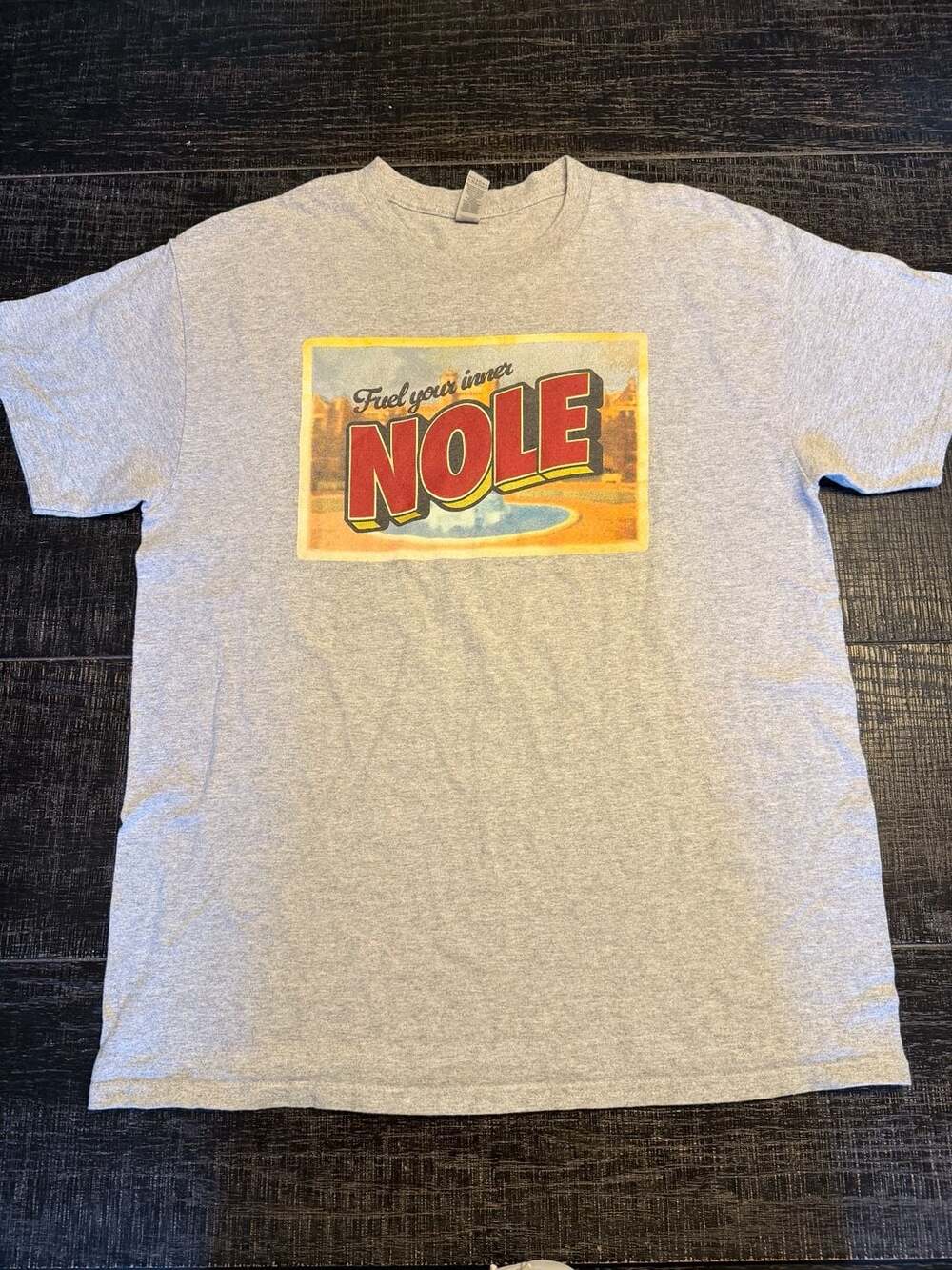 Gildan Heavy Cotton Fuel Your Inner Nole Seminole Dining Gray T-Shirt Size Large